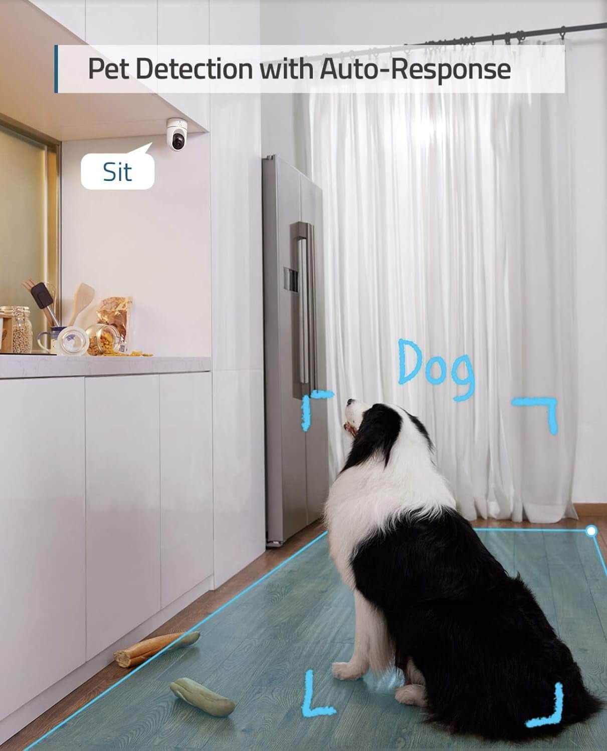 Indoor security camera detecting a sitting dog in a kitchen, showcasing pet detection with auto-response feature.
