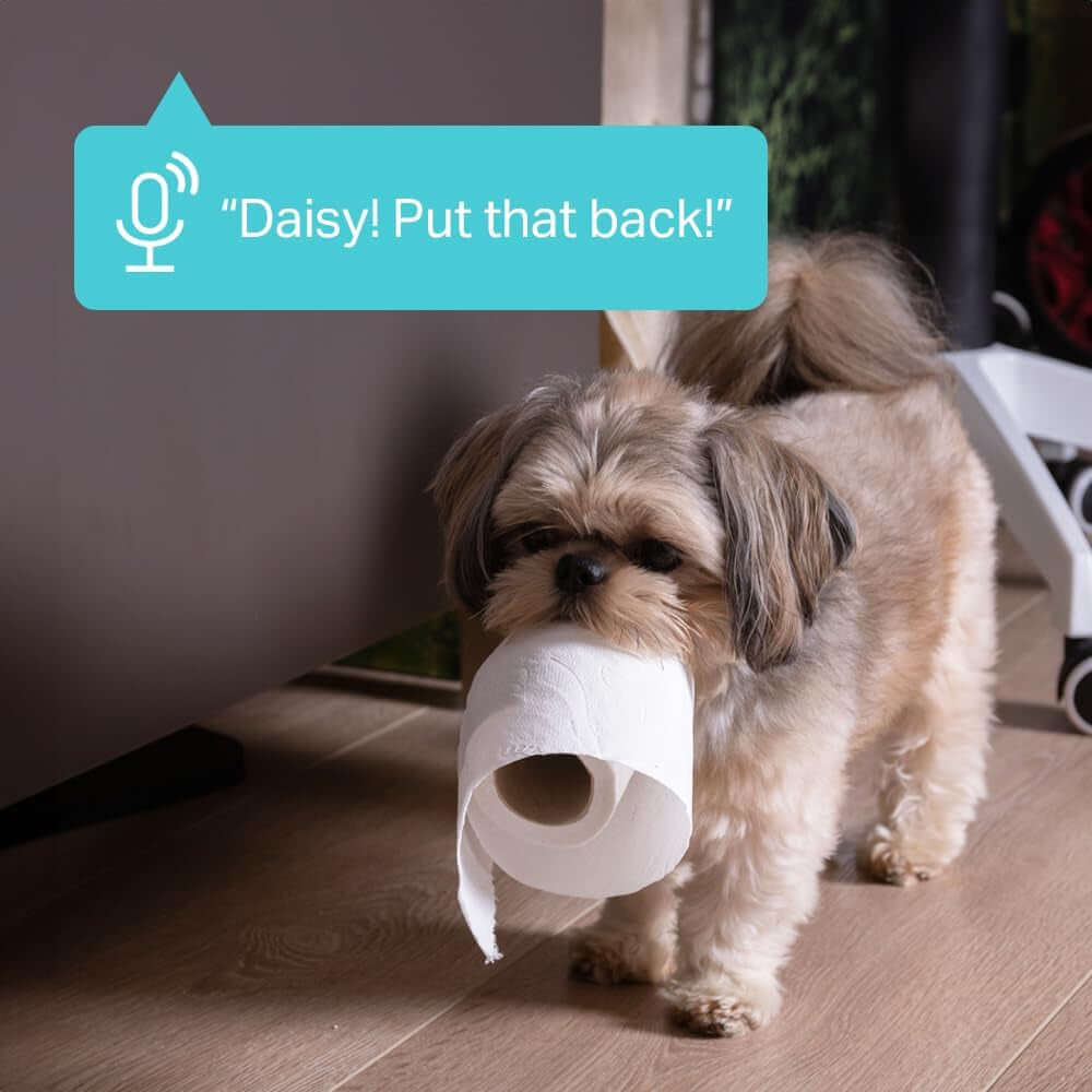 Small dog holding a toilet paper roll in its mouth with a speech bubble saying "Daisy! Put that back!"